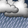 白天暴风雨，夜间中雨