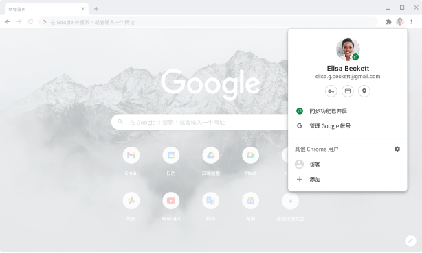 显示 Google 帐号的帐号与同步设置(已启用同步)的 Chrome 浏览器窗口。