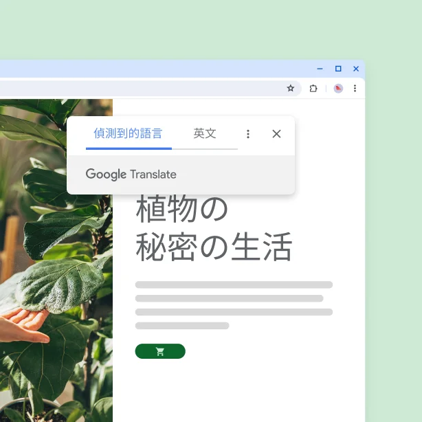 關於植物的網站,內容譯文為「植物的秘密生活」