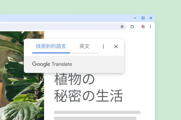 關於植物的網站,內容譯文為「植物的秘密生活」